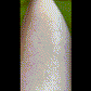 Rasoir tondeuse 2-en-1 rechargeable pour sourcils et corps.