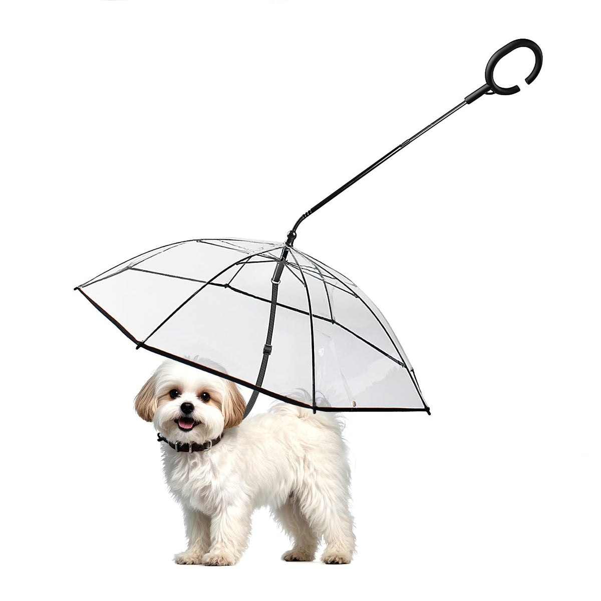Parapluie transparent avec laisse réglable pour chien de petite taille.